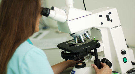 Morphology Lab Morphology Lab