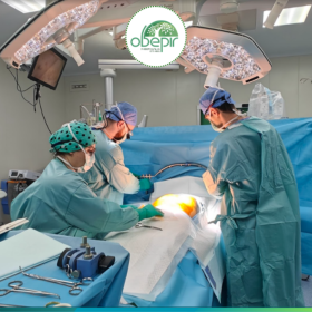 Трансплантологія