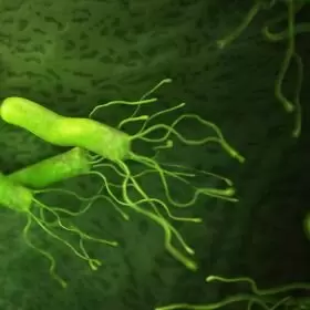 Гастроентерологія