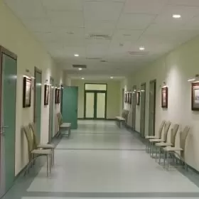 Эндокринология