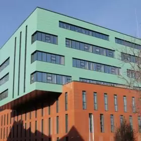 Эндокринология