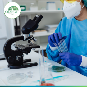 Лучевая терапия