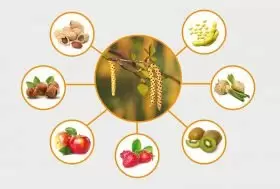 Алергологія