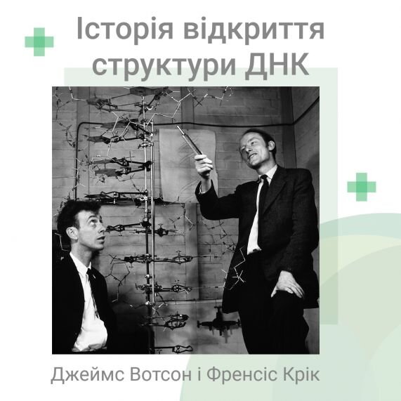 Історія відкриття структури ДНК