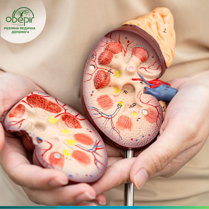 What is pyelonephritis: General information and hazard of illness
