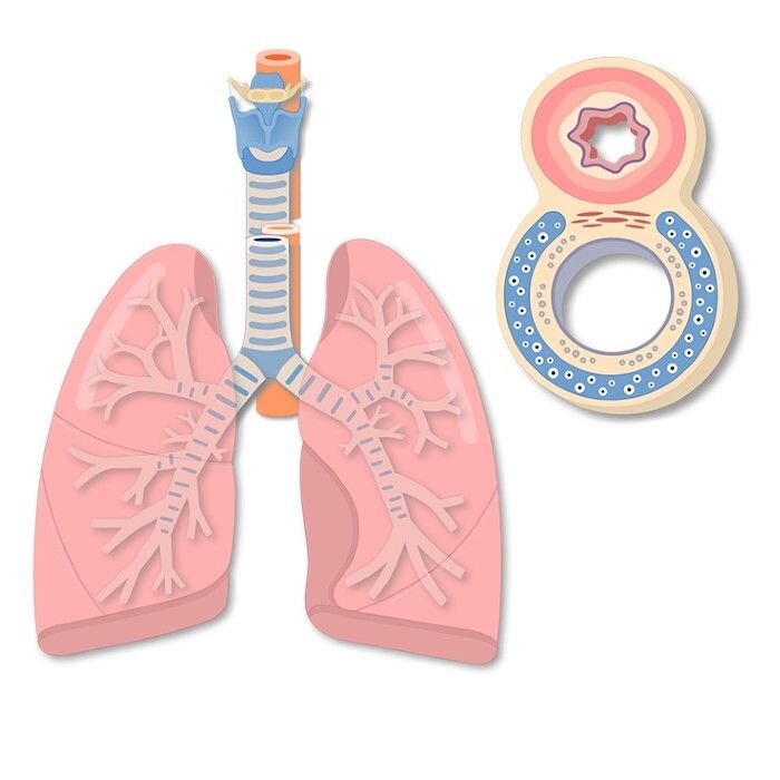 Хвороби і стани