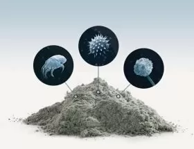 Алергологія