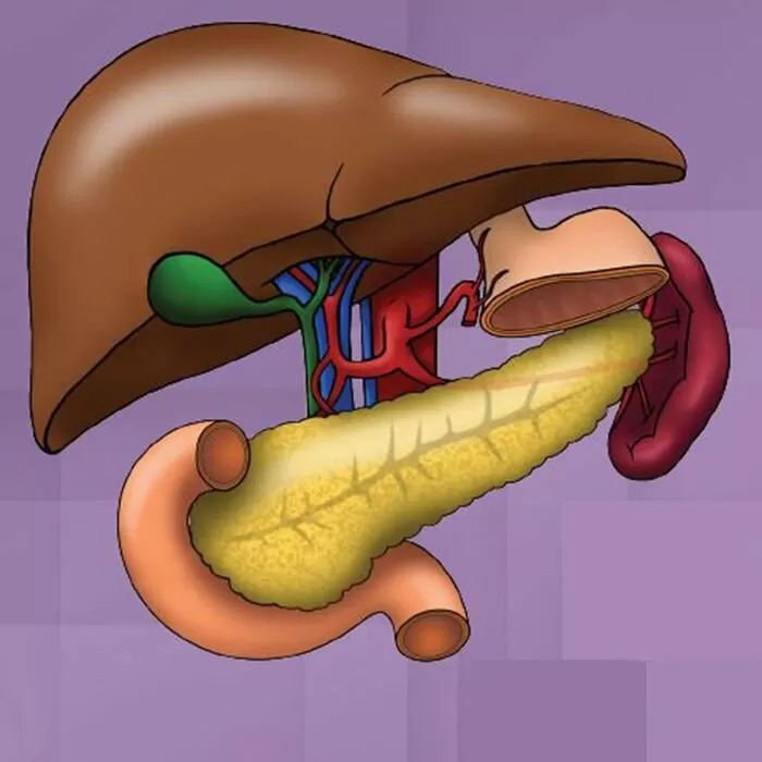 Болезни и состояния