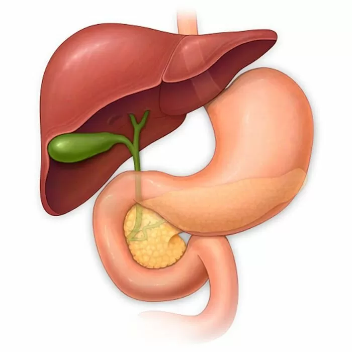 Болезни и состояния